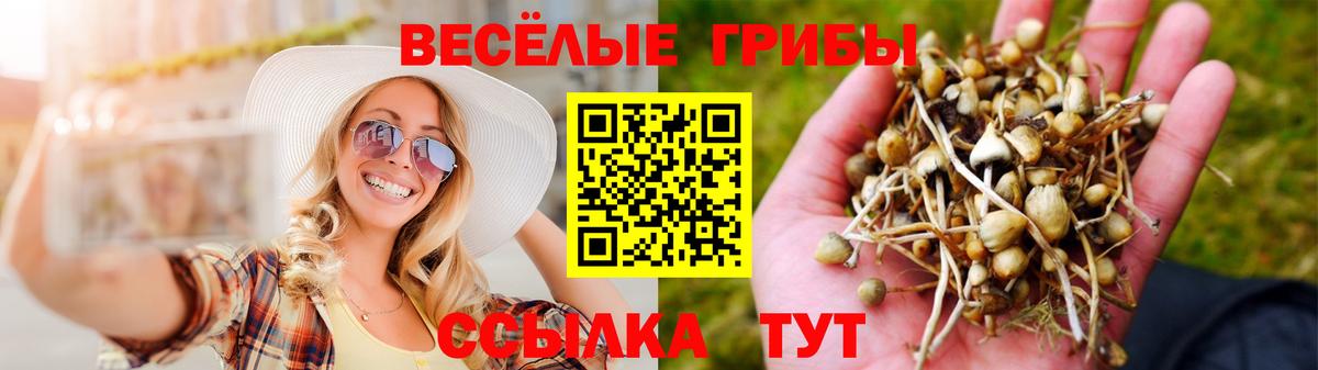 Галлюциногенные грибы Magic Shrooms  Псилоцибиновые грибы мухоморы  Вход с VPN  Лангепас 